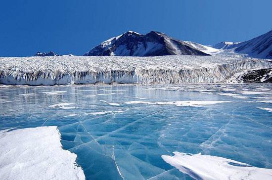 Петербургские депутаты предложили отмечать день открытия Антарктиды - pnp.ru - Санкт-Петербург - Антарктида