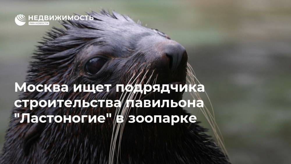 Москва ищет подрядчика строительства павильона "Ластоногие" в зоопарке - realty.ria.ru - Москва - Россия