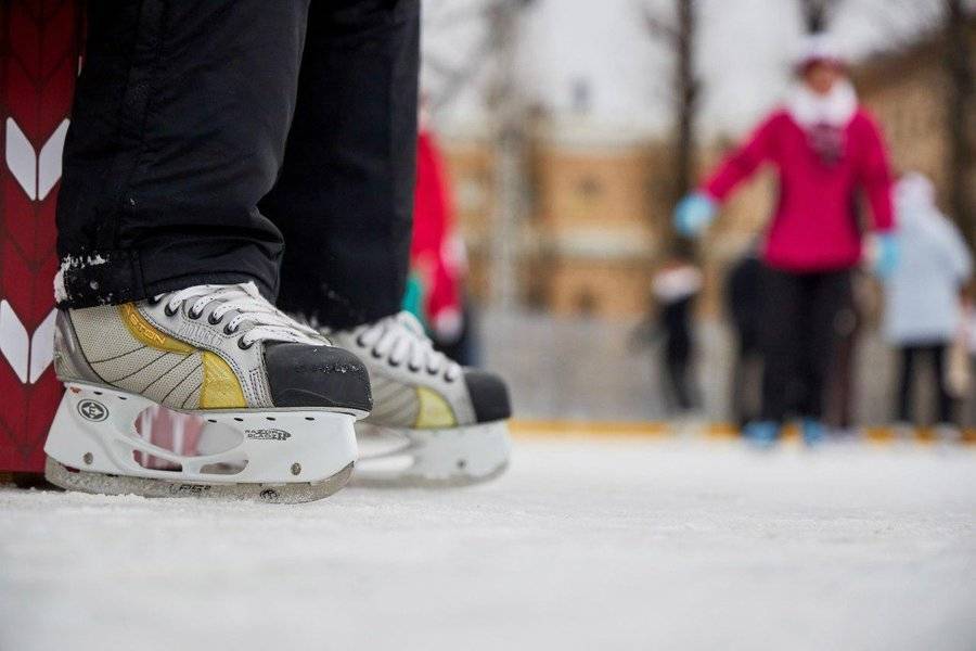 Москвичи выберут удобное время для занятий спортом в Воронцовском парке - m24.ru - Москва - усадьба Воронцово