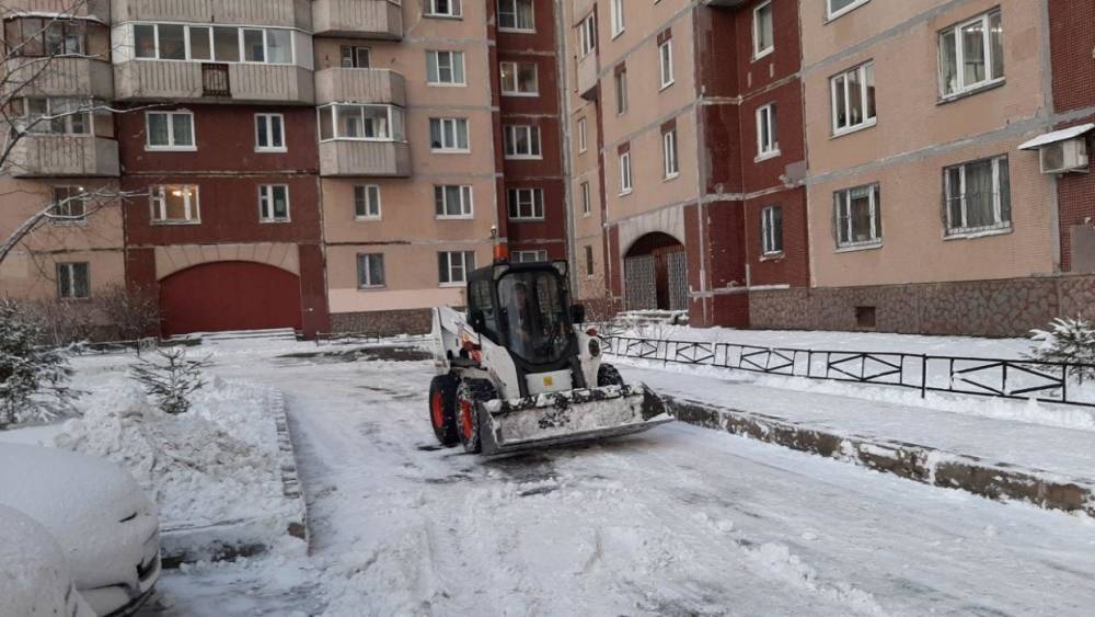 В Петербурге показали, как убирают Туристскую улицу в Приморском районе - wvw.daily-inform.ru - р-н Приморский