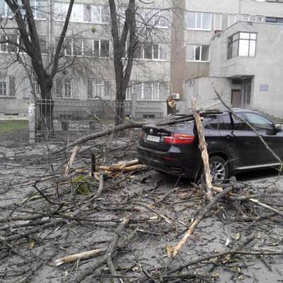 Сергиев Посад - 40 деревьев повалены сильным ветром в Москве, повреждены семь машин - radiomayak.ru - Москва - Московская обл.