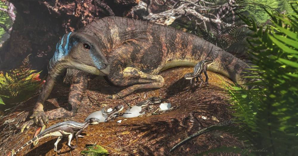 В Австралии найдены детеныши динозавров - popmech.ru - Австралия