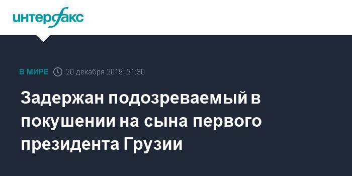Задержан подозреваемый в покушении на сына первого президента Грузии - interfax.ru - Москва - Грузия - Тбилиси