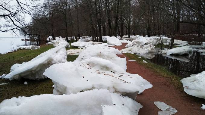 После наводнения в Сестрорецке в парке "Дубки" остались крупные ледяные глыбы - piter.tv - Сестрорецк