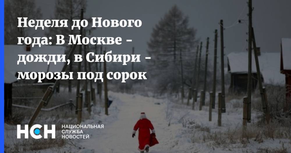 Леонид Старков - Неделя до Нового года: В Москве - дожди, в Сибири - морозы под сорок - nsn.fm - Москва