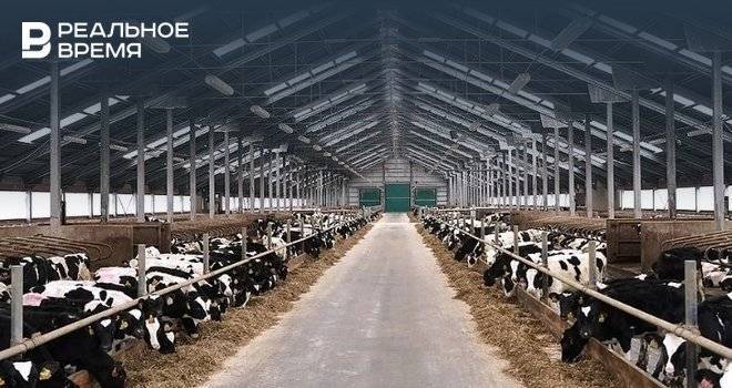 Марат Зяббаров - В Татарстане планируется ввести в эксплуатацию 24 новых молочных комплекса в ближайшие два года - realnoevremya.ru - респ. Татарстан