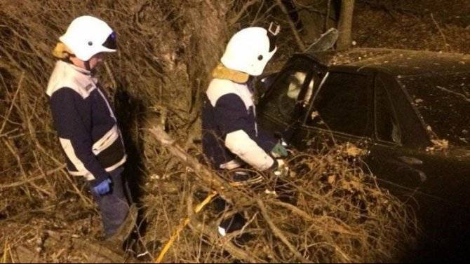 На Кубани «Приора» врезалась в дерево – погибли два человека - usedcars.ru - Краснодарский край - район Белореченский - Южный
