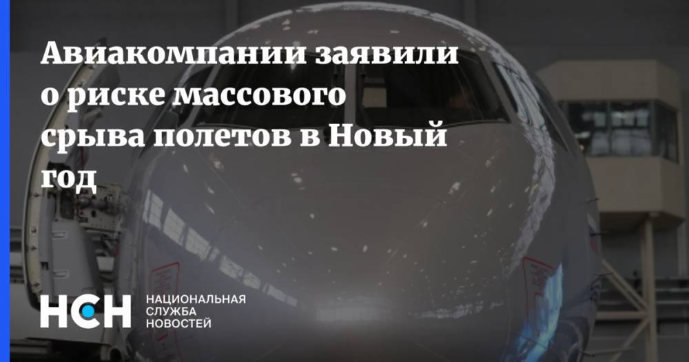 Владимир Тасун - Авиакомпании заявили о риске массового срыва полетов в Новый год - nsn.fm - Россия