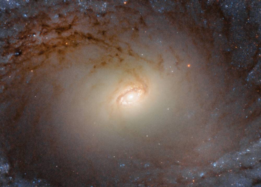 Телескоп Hubble зафиксировал галактику в созвездии Столовая Гора - vm.ru