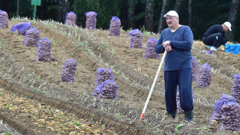 Остап Дроздов - «Самостийные» деньки Белоруссии сочтены – граница Украины с Россией пройдёт по Волыни - politnavigator.net - Россия - Украина - Белоруссия