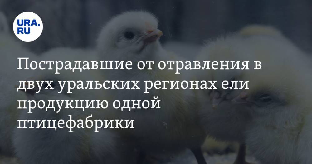 Андрей Косилов - Пострадавшие от отравления в двух уральских регионах ели продукцию одной птицефабрики - ura.news - Челябинская обл. - Ханты-Мансийск - Челябинск - Югра