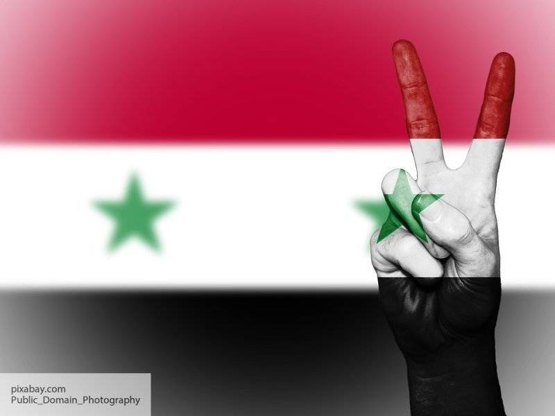 Валид Муаллем - Нужно добиться доверия между участниками конституционного комитета – МИД Сирии - politros.com - Сирия