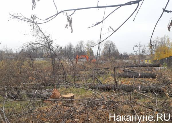 В Верхнем Уфалее поймали черных лесорубов - nakanune.ru - Челябинская обл.