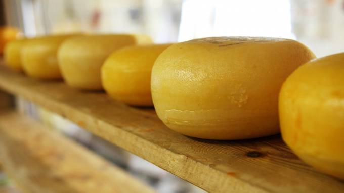 Шесть тонн швейцарского сыра задержали на подъезде к Петербургу - piter.tv - Санкт-Петербург - Швейцария - Россельхознадзор