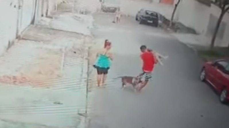 Молодой человек забросил ребенка на крышу машины, спасая от питбуля - usa.one - Рио-Де-Жанейро