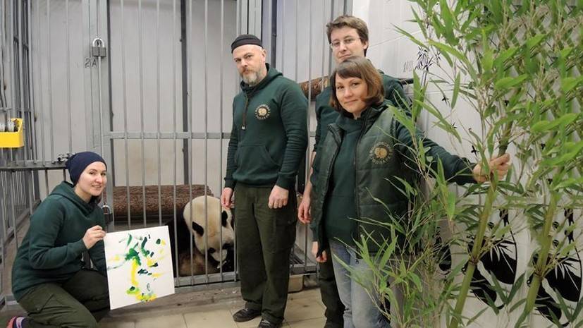 Светлана Акулова - В Московском зоопарке панды начали учиться рисованию - russian.rt.com