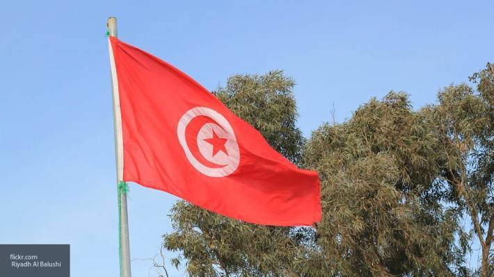 Саид Каис - Тунис не заключал союз с террористами ПНС Ливии и не планирует это делать – Саид - newinform.com - Турция - Ливия - Тунис - Тунисская Респ. - Алжир - Триполи