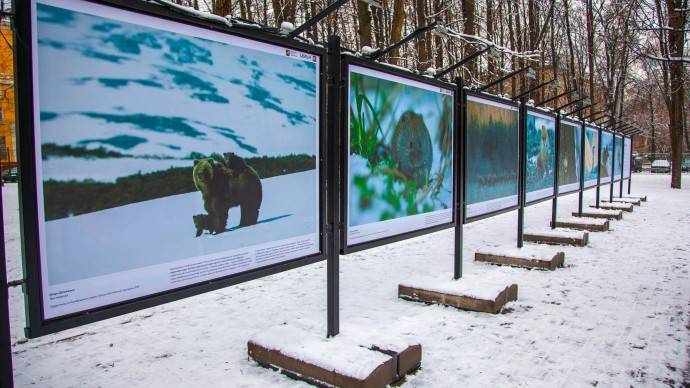 В парках Москвы откроются бесплатные выставки - parkseason.ru - Москва - Россия - Антарктида - усадьба Воронцово