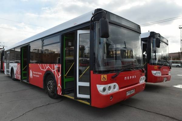 В Перми добавили автобусов для поездок с Перми-1. Маршруты и особенности - nakanune.ru - Пермь