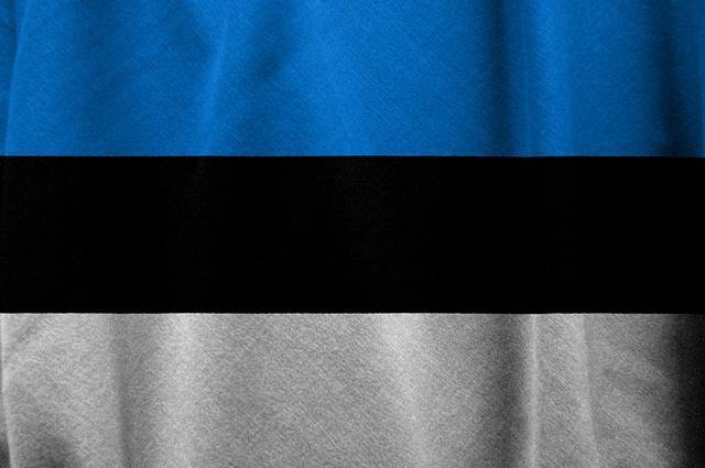 Юри Луйк - Эстония назвала Россию главной угрозой безопасности - gazeta.a42.ru - Россия - Эстония