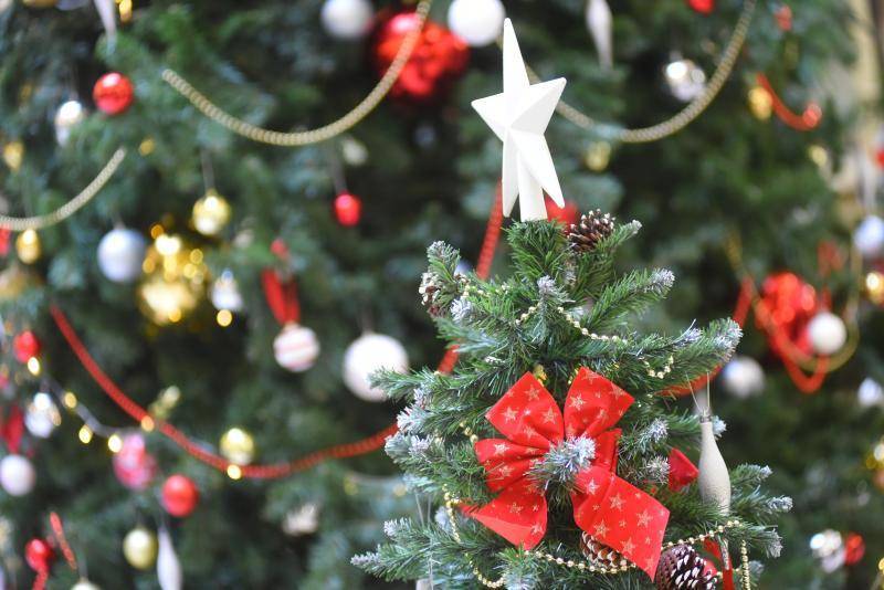 Акция по утилизации новогодних елок стартует в Москве 5 января - vm.ru