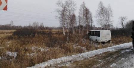 В Тюменской области автобус улетел в кювет, пострадали шестеро - nakanune.ru - район Тюменский - район Исетский