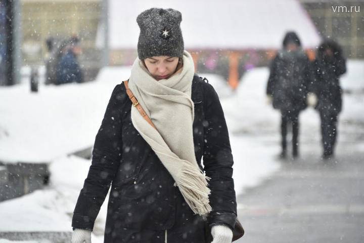 Елена Волосюк - Туманная погода и метель ожидаются в Москве 4 декабря - vm.ru