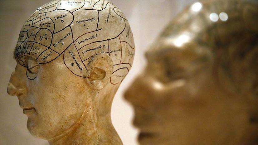 Софико Шеварднадзе - «Разум — это персонализация мозга»: британский нейрофизиолог — о природе сознания и о чувстве любви - russian.rt.com