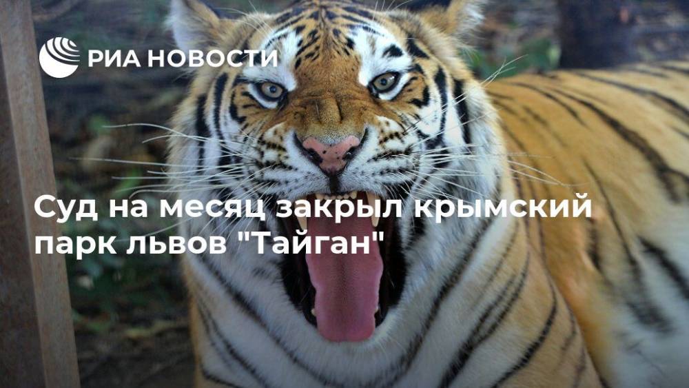 Валерий Иванов - Суд на месяц закрыл крымский парк львов "Тайган" - ria.ru - Крым - Симферополь