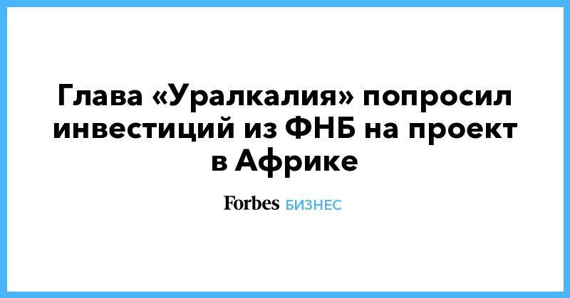 Дмитрий Осипов - Глава «Уралкалия» попросил инвестиций из ФНБ на проект в Африке - forbes.ru - Россия