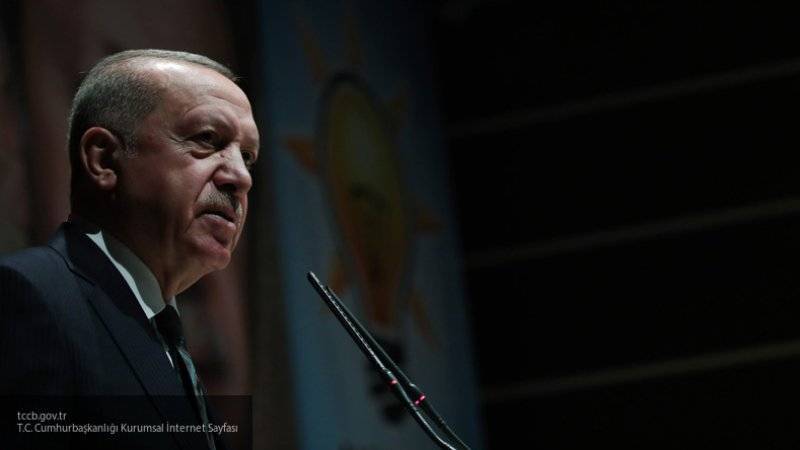 Реджеп Тайип Эрдоган - Эммануэля Макрон - Борис Долгов - Аналитик рассказал, что Запад использует курдские банды для реализации своих целей в Сирии - nation-news.ru - Россия - Сирия - Турция - Франция