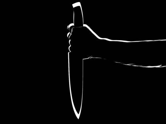 В Перми школьница зарезала напавшего на бабушку и подруг отчима - newtvnews.ru - Пермь