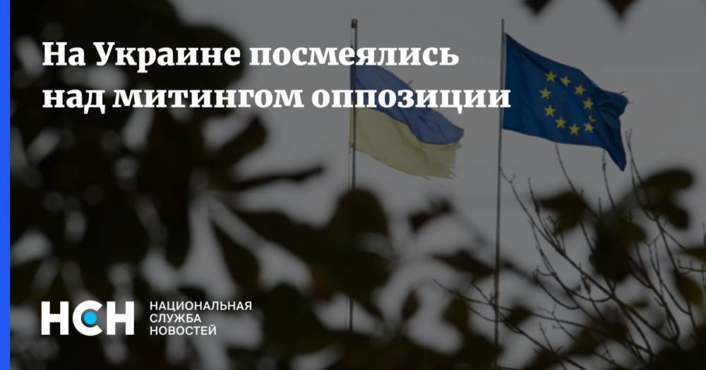Спиридон Килинкаров - На Украине посмеялись над митингом оппозиции - nsn.fm - Украина - Киев