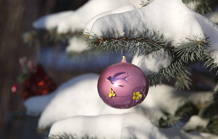 Самую огромную в мире новогоднюю ёлку зажгли в Италии - news.ru - Москва - Россия - Италия