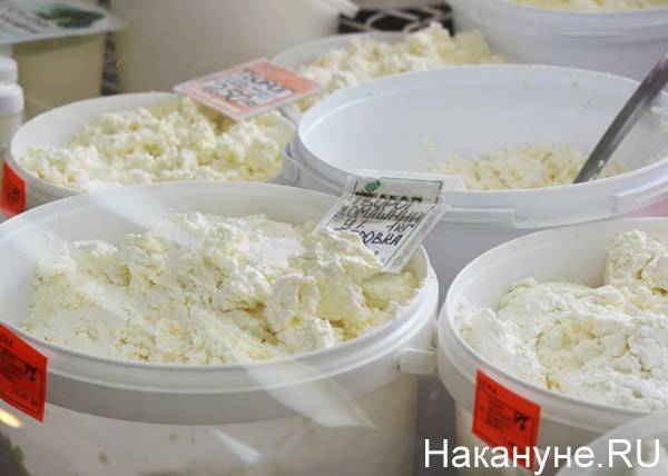 В Зауралье на молочном предприятии в твороге нашли кишечную палочку - nakanune.ru - Россельхознадзор - Курган