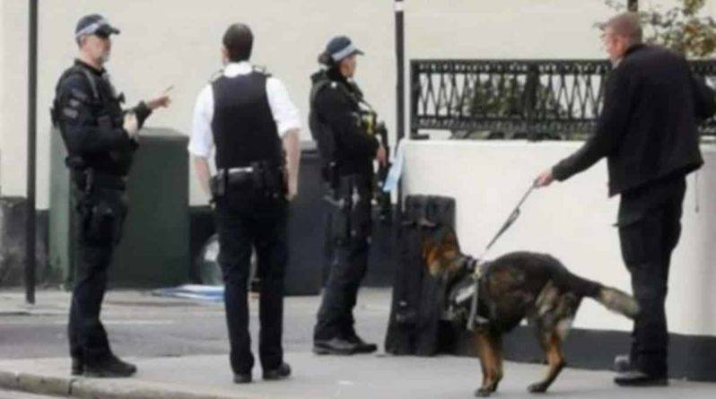 Вооруженные офицеры перекрыли район и ведут переговоры с мужчиной, угрожающим убийством жителям Аддискомбе в Лондоне - theuk.one - Лондон - Великобритания