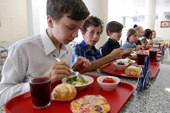 Вячеслав Володин - Владимир Кашин - В Госдуме отметили важность вопроса о качественном питании в школах - pnp.ru