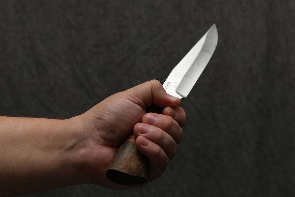 Житель Волгоградской области зарезал своего отца – бывшего директора школы - trud.ru - Россия - Волгоградская обл. - Николаевск