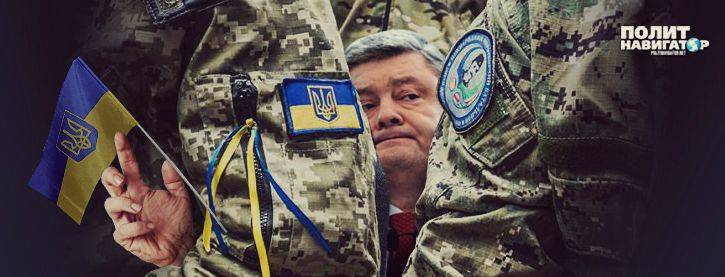 Юрий Луценко - Кирилл Молчанов - Окружение спешит вовремя предать Порошенко - politnavigator.net - Украина