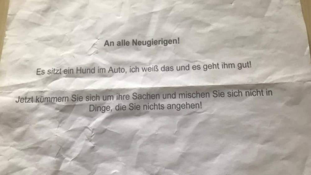Северный Рейн-Вестфалия: пес погиб в раскаленном авто по вине хозяина - germania.one