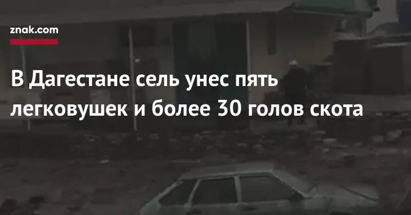 В&nbsp;Дагестане сель унес пять легковушек и&nbsp;более 30 голов скота - znak.com - Россия - респ. Дагестан