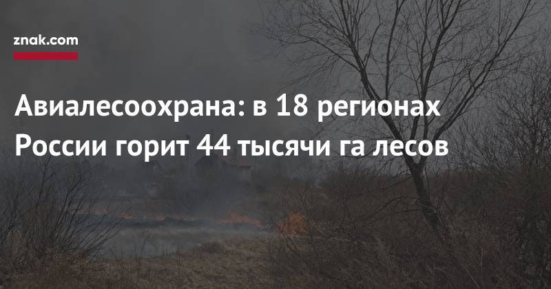 Авиалесоохрана: в&nbsp;18 регионах России горит 44 тысячи га&nbsp;лесов - znak.com - Россия - Иркутская обл. - Челябинская обл. - Тюменская обл. - респ.Бурятия - респ.Тыва - Курганская обл. - Омская обл. - Забайкальский край - Томская обл.