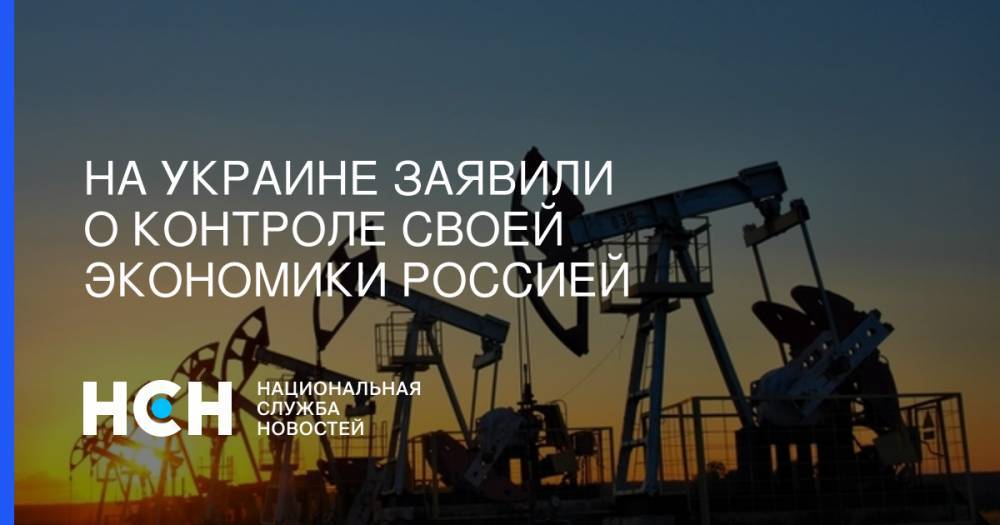Дмитрий Марунич - На Украине заявили о контроле своей экономики Россией - nsn.fm - Москва - Россия - Украина