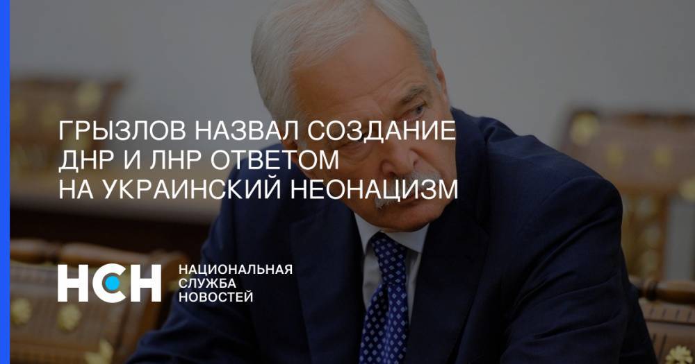 Борис Грызлов - Грызлов назвал создание ДНР и ЛНР ответом на украинский неонацизм - nsn.fm - Россия - Украина - обл. Донецкая - Донецк - Донбасс - Луганск