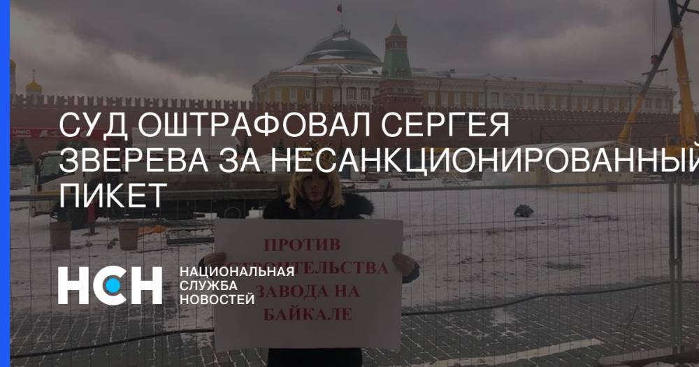 Сергей Зверев - Суд оштрафовал Сергея Зверева за несанкционированный пикет - nsn.fm - Москва - Россия - Китай - Иркутск