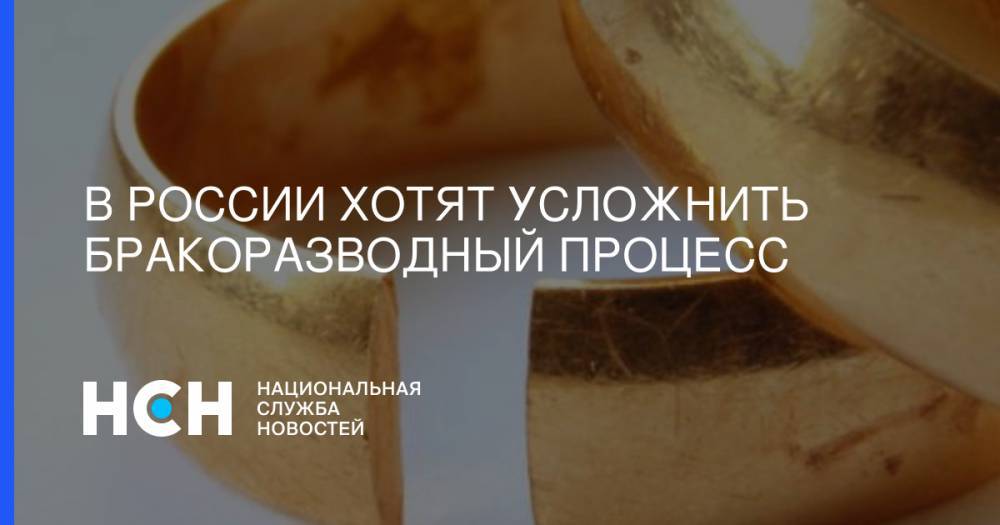 Дмитрий Медведев - Владимир Петров - В России хотят усложнить бракоразводный процесс - nsn.fm - Россия - Ленинградская обл.