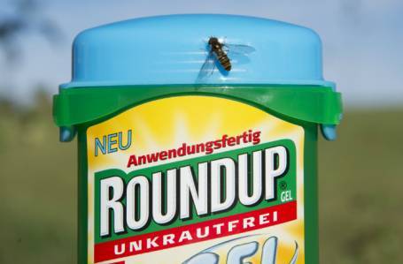 Опасный антисорняк: Bayer заплатит $2 млрд заболевшим раком из-за гербицида Roundup - bfm.ru - Сан-Франциско - шт. Калифорния