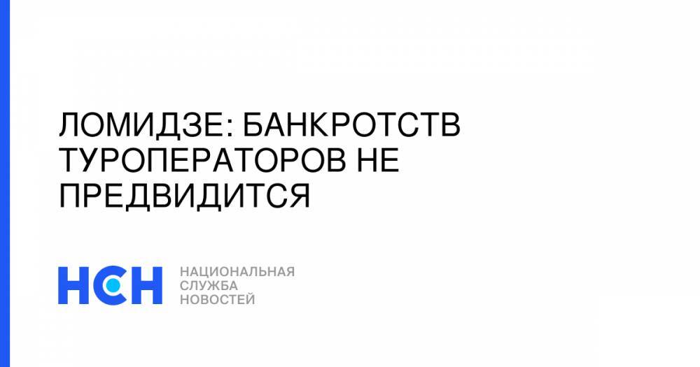 Майя Ломидзе - Ломидзе: Банкротств туроператоров не предвидится - nsn.fm - Россия