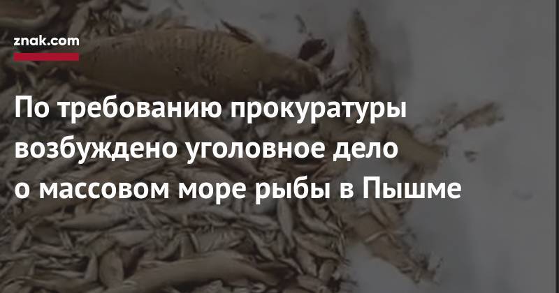 Марина Канатова - По&nbsp;требованию прокуратуры возбуждено уголовное дело о&nbsp;массовом море рыбы в&nbsp;Пышме - znak.com - Россия - Свердловская обл.