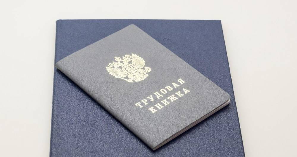 Пенсионный фонд оцифровал все трудовые книжки – СМИ - m24.ru - Россия